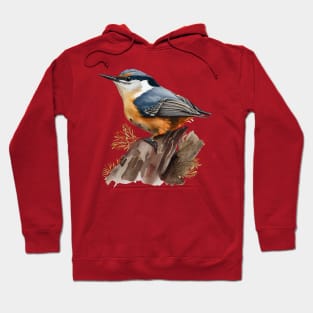 Nuthatch Bird On A Tree Branch 3.0 Hoodie